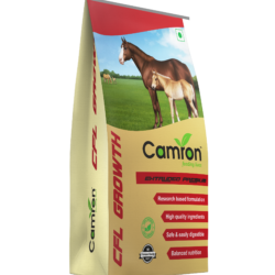 Camron's equine feed for growth.