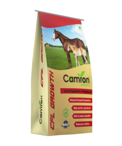 Camron's equine feed for growth.