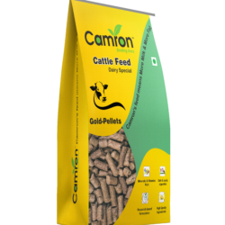 CATTLE FEED
